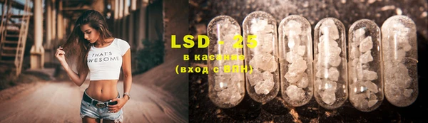 ECSTASY Лагань