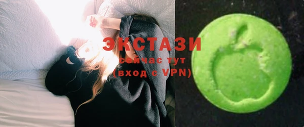 ECSTASY Лагань
