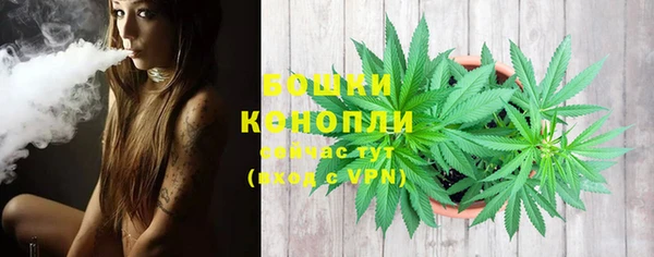 амф Великий Новгород