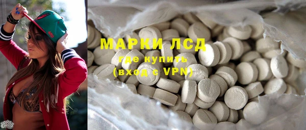 ECSTASY Лагань