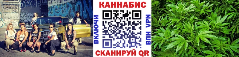 МАРИХУАНА гибрид  Талдом 